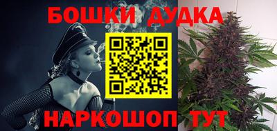 Альфа ПВП Кингисепп