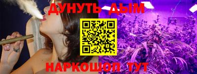 Альфа ПВП Кингисепп