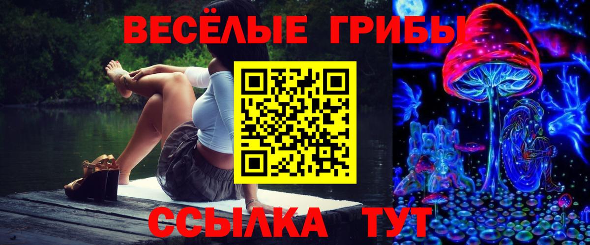 Псилоцибиновые грибы Psilocybe  Псилоцибиновые грибы GOLDEN TEACHER  где можно купить   Вход с VPN  Котельники 